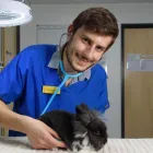 Business 14 image VALLEY VETS, YSTRAD MYNACH Veterinary Services in Ystrad Mynach Mi