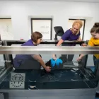 Business 15 image VALLEY VETS, YSTRAD MYNACH Veterinary Services in Ystrad Mynach Mi