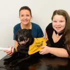 Business 19 image VALLEY VETS, YSTRAD MYNACH Veterinary Services in Ystrad Mynach Mi