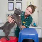 Business 26 image VALLEY VETS, YSTRAD MYNACH Veterinary Services in Ystrad Mynach Mi