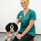 Business 29 image VALLEY VETS, YSTRAD MYNACH Veterinary Services in Ystrad Mynach Mi
