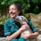 Business 30 image VALLEY VETS, YSTRAD MYNACH Veterinary Services in Ystrad Mynach Mi