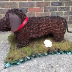 Business 40 image VENDELA ROSE FLORAL DESIGN Shopping & Retail in Reading Be