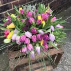 Business 45 image VENDELA ROSE FLORAL DESIGN Shopping & Retail in Reading Be