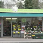 Business 68 image VENDELA ROSE FLORAL DESIGN Shopping & Retail in Reading Be