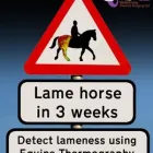 Business 4 image VETERINARY THERMAL IMAGING - EAST MIDLANDS Veterinary Services in Beeston No