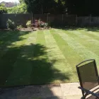Business 1 image VIKING GARDEN SERVICES LTD Tree Services in Farnborough Ha