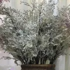 Business 5 image VILLAGE GREEN WHOLESALE LTD Wholesale Trade in Melton Mowbray Le