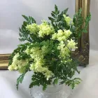 Business 14 image VILLAGE GREEN WHOLESALE LTD Wholesale Trade in Melton Mowbray Le