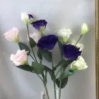 Business 17 image VILLAGE GREEN WHOLESALE LTD Wholesale Trade in Melton Mowbray Le