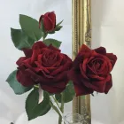 Business 18 image VILLAGE GREEN WHOLESALE LTD Wholesale Trade in Melton Mowbray Le