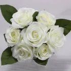 Business 19 image VILLAGE GREEN WHOLESALE LTD Wholesale Trade in Melton Mowbray Le