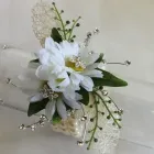 Business 34 image VILLAGE GREEN WHOLESALE LTD Wholesale Trade in Melton Mowbray Le