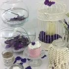 Business 35 image VILLAGE GREEN WHOLESALE LTD Wholesale Trade in Melton Mowbray Le