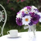 Business 40 image VILLAGE GREEN WHOLESALE LTD Wholesale Trade in Melton Mowbray Le