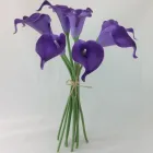 Business 41 image VILLAGE GREEN WHOLESALE LTD Wholesale Trade in Melton Mowbray Le