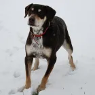 Business 1 image VITA GARDEN SERVICES LTD Garden Services in Warrington Ch