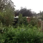 Business 3 image WALLIS GARDEN SERVICES Garden Services in WIMBORNE Do