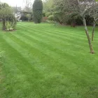 Business 1 image WALLIS GARDEN SERVICES Garden Services in WIMBORNE Do