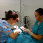 Business 1 image WARBRECK HOUSE VETERINARY Vets in Liverpool Me