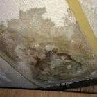Business 1 image WATER DAMAGE RESTORATION UK Home Improvements in Birmingham We