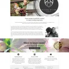 Business 3 image WEB STUDIO MARITA Web Developers in Paisley Re