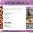 Business 23 image WEB STUDIO MARITA Web Developers in Paisley Re