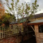 Business 11 image WEBSTER GARDENING LTD Tree Services in Midsomer Norton So