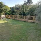 Business 29 image WEBSTER GARDENING LTD Tree Services in Midsomer Norton So
