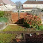 Business 38 image WEBSTER GARDENING LTD Tree Services in Midsomer Norton So