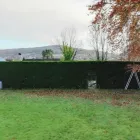 Business 12 image WEBSTER GARDENING LTD Tree Services in Radstock Av