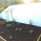 Business 33 image WEBSTER GARDENING LTD Tree Services in Radstock Av