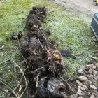 Business 13 image WEST COUNTRY DRAINAGE SERVICES LTD Waterworks Contractors in Bridgwater So