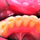 Business 1 image WHITESTAR DENTAL PRACTICE Dentists in Harrow Mi