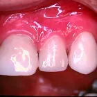 Business 2 image WHITESTAR DENTAL PRACTICE Dentists in Harrow Mi
