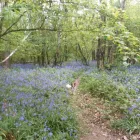 Business 1 image WHSMITH HIGH STREET Book Shops in Hinckley Le