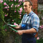 Business 3 image WIGAN TREE SERVICES Tree Services in Manchester Gr