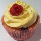 Business 5 image WILLETT HOUSE VETERINARY SURGEONS Vets in Middlesex Mi