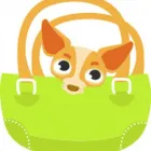 Business 3 image WOODLEY PETS LTD Pets & Animals in Reading Be