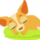 Business 4 image WOODLEY PETS LTD Pets & Animals in Reading Be