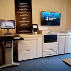 Business 29 image YELLOW SLATE DESIGN Web Developers in Paisley Re
