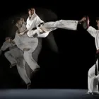 Business 1 image YUDENSHA CENTRE Martial Arts in Bushey He