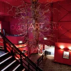 Business 6 image ZEUS IT Computer Systems in GREAT YARMOUTH No