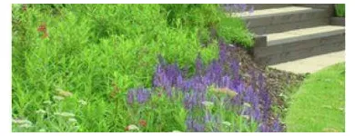 Business 1 image 4D GARDEN DESIGN & CONSTRUCTION Landscapers in Bolton La
