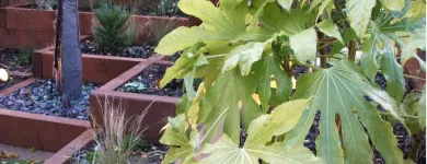 Business 3 image ACER GARDENS Patios in Liverpool Me