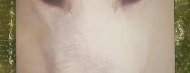 Business 1 image ALDRICH ART LTD Writing & Publishing in Hinckley Le