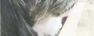 Business 4 image ALDRICH ART LTD Writing & Publishing in Hinckley Le