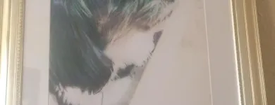 Business 6 image ALDRICH ART LTD Writing & Publishing in Hinckley Le