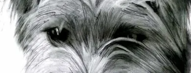 Business 15 image ALDRICH ART LTD Writing & Publishing in Hinckley Le