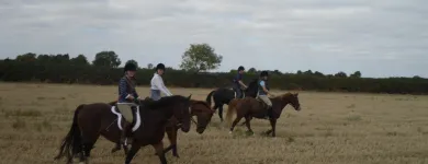 Business 3 image ARC CAR WASH Car & Vehicle Valeting in Birkenhead Me